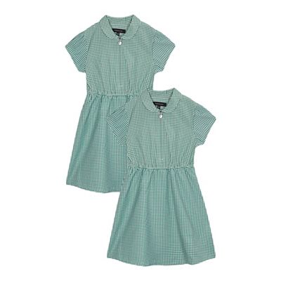Pack of two girls' green gingham print dress